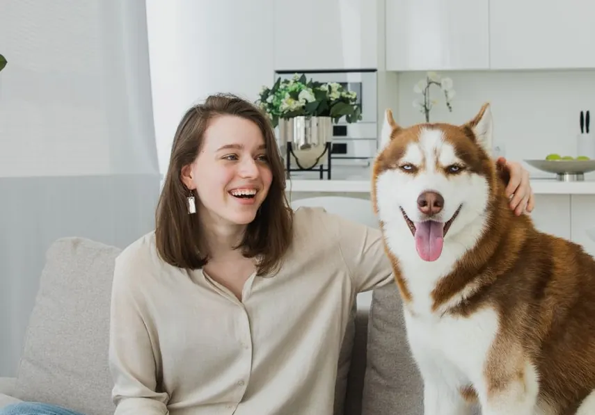 A smiling owner laughing beside her husky on a bright sofa