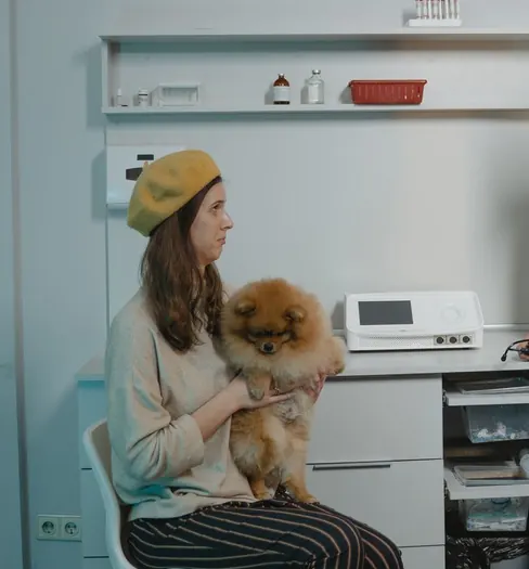 An owner holding her dog in the consulting room